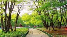 黑龙江省森林植物园-哈尔滨-doris圈圈