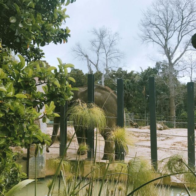 Melbourne Zoo