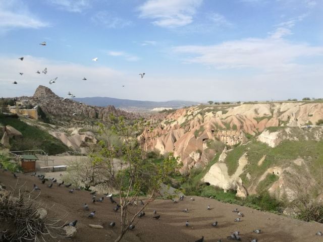 Pigeon Valley