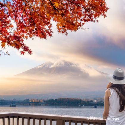 日本东京+富士山+河口湖+大涌谷+箱根空中缆车一日游