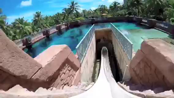 #视频征集令# 全球最刺激的水滑道，高空直接冲进鲨鱼池
