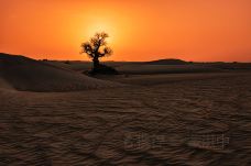 塔克拉玛干沙漠-尉犁-doris圈圈