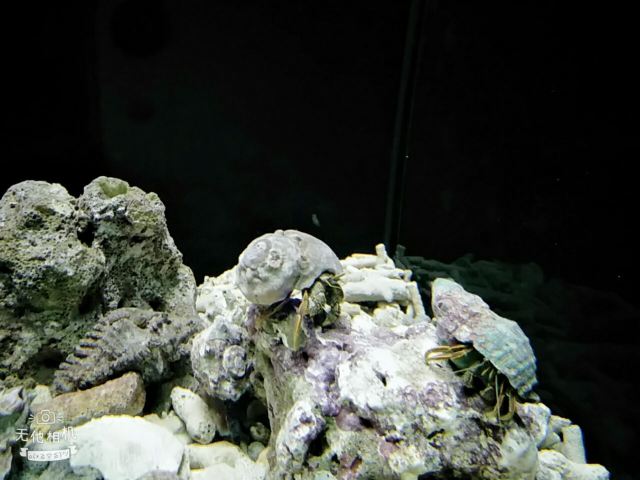 Nanchong Polar Ocean World