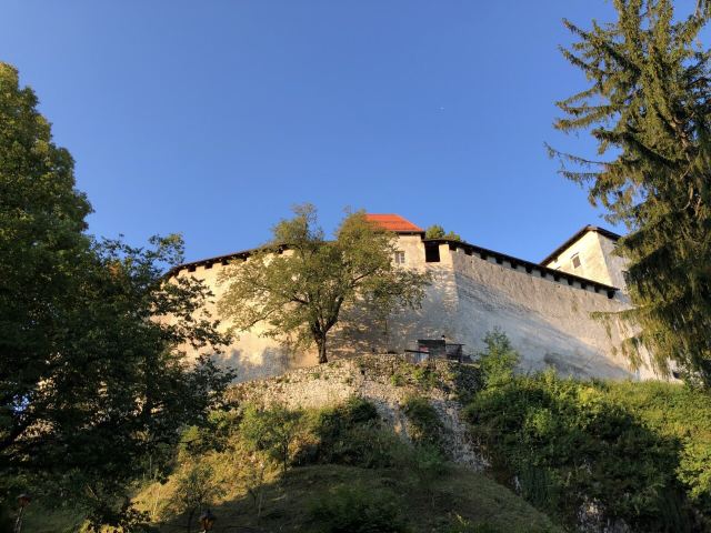 Bled Castle (Blejski Grad)