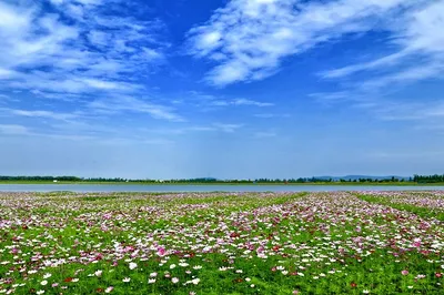 固城湖水慢城