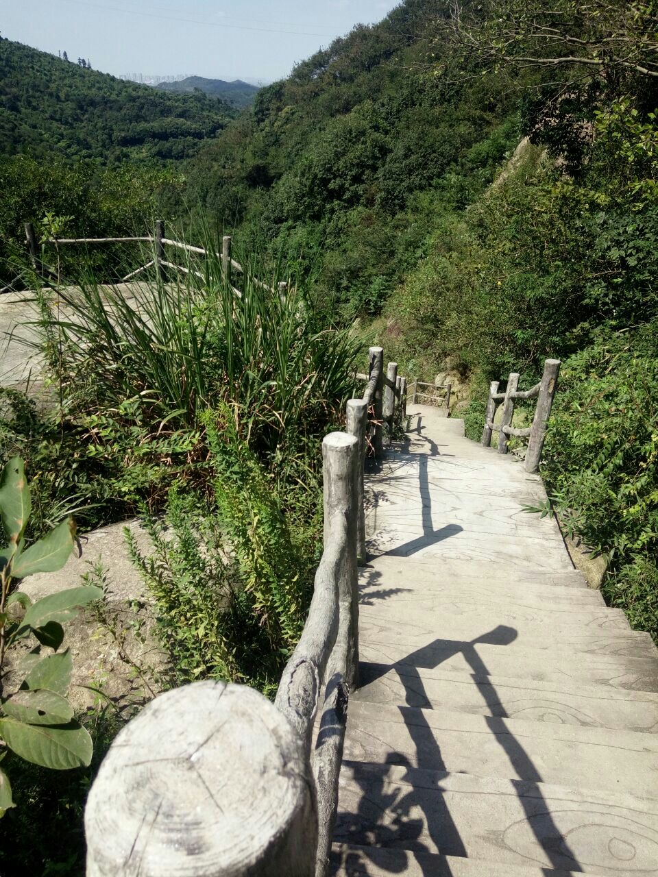 栲栳山