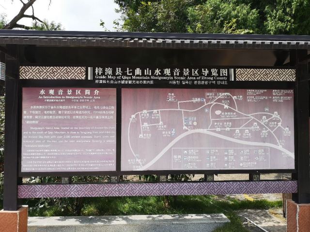 水觀音