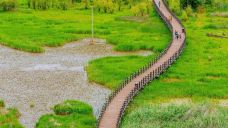 草海-盐源-拍照莫腾腾的Alex