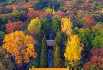 【明孝陵讲解】 全程导游 120分钟 尊享私家团 含耳麦【[导游讲师团]他们博古通今，幽默睿智，善于挖掘文物背后的故事，用有趣的方式还原历史真相；】