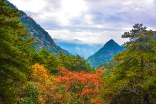 云谷景区-黄山-负贰叁肆伍