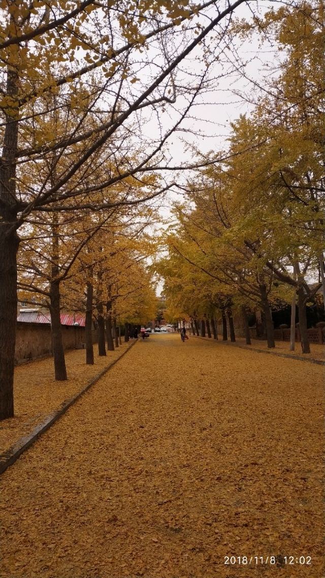 태양골