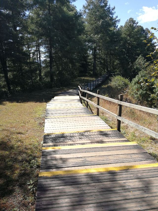 火山地熱國家地質公園