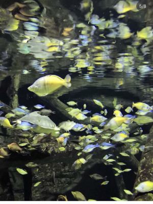 Hue Tourist Attractions Images 489 Uniqueexperience Photos Travel