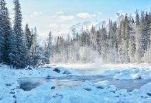 喀纳斯景区景点图片