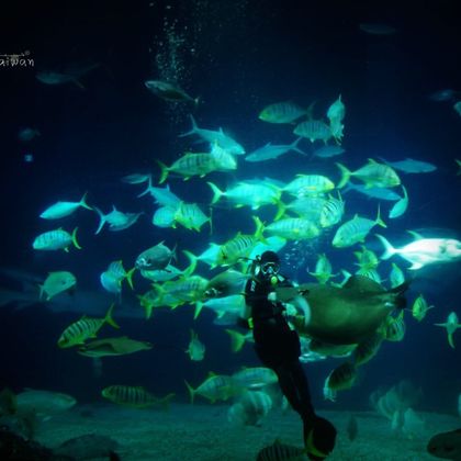 台湾海洋生物博物馆+海角七号阿嘉的家+社顶自然公园+垦丁大街夜市一日游