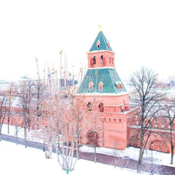 俄罗斯莫斯科+红场+克里姆林宫+圣瓦西里升天大教堂（不含门票