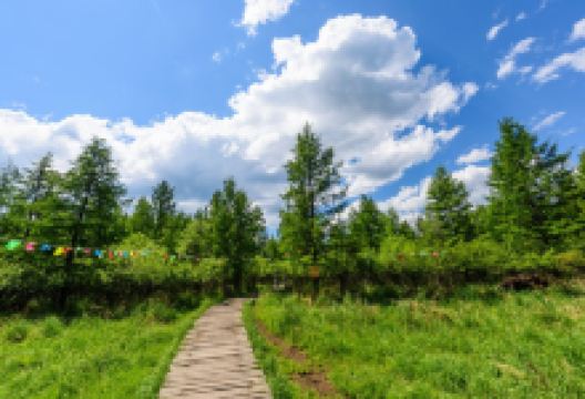 鄂温克博物馆景点图片