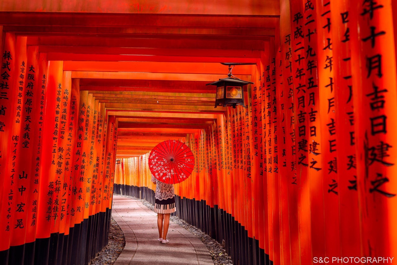 100v0zo66jk9dad Jpg Proc Source Trip