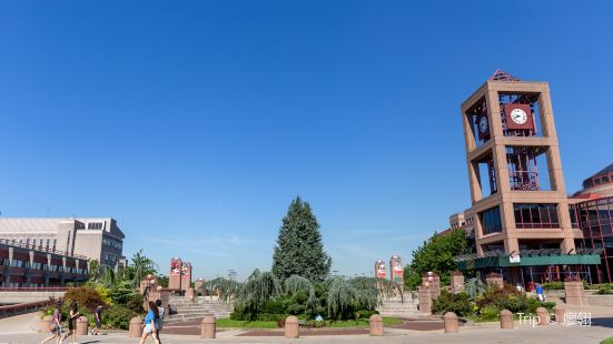 紐約城市大學