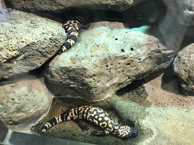Melbourne Zoo