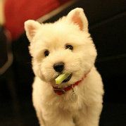 微笑曾经的我们