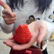 没有爱我们都一样