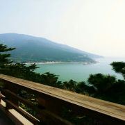 我与阿语相爱相杀