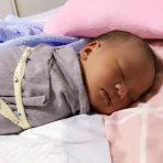 小猪佩奇与汪汪队