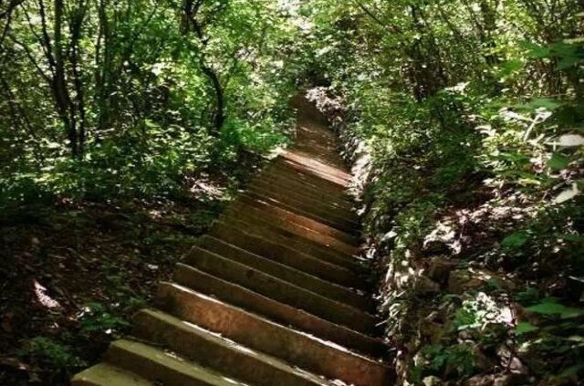 白云寺景区旅行图片 3