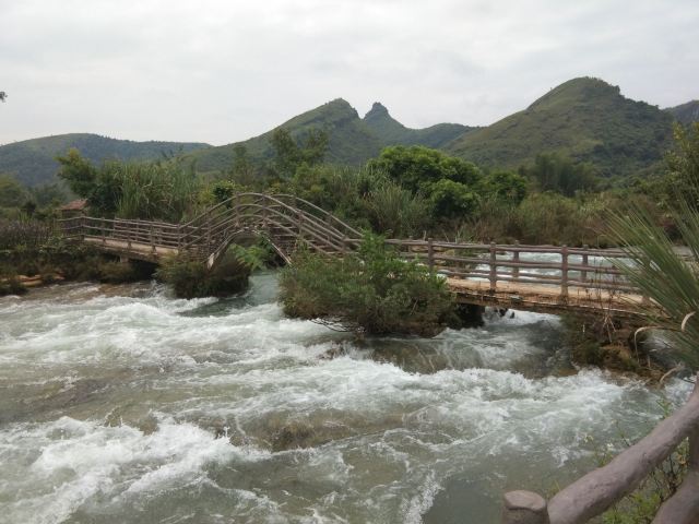 老木棉·紫园景区旅行图片 1