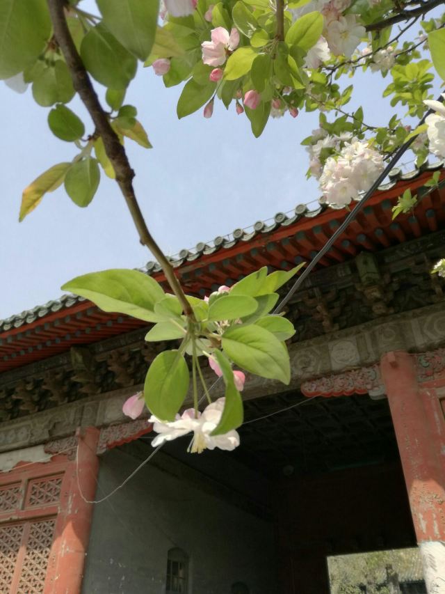 孚王府(不对外开放)旅行图片 8