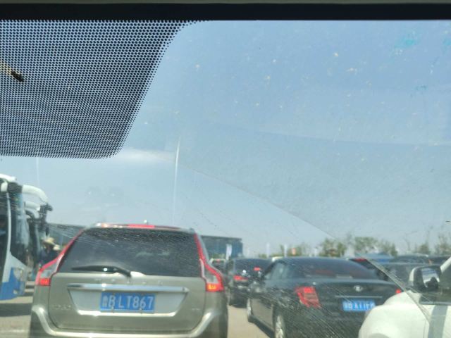 青岛国际牡丹产业园旅行图片 2
