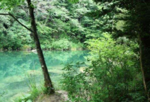 Gorges de la Siagne景点图片