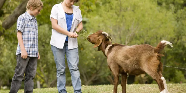 丘吉爾島傳統農場