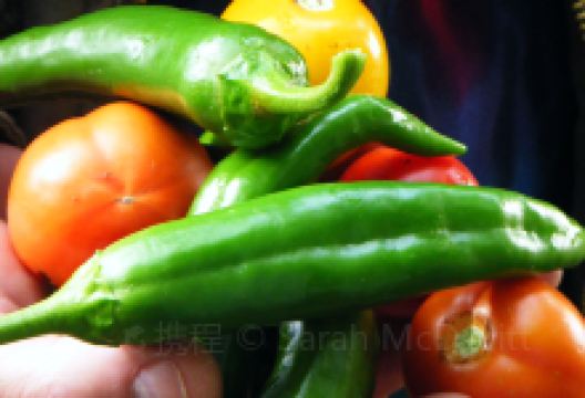 North Sea Farms景点图片