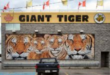 Giant Tiger购物图片
