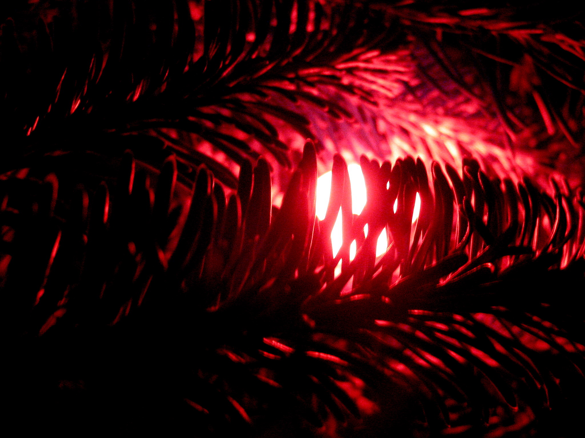 Crowe's Nest Mega-Plex餐厅图片