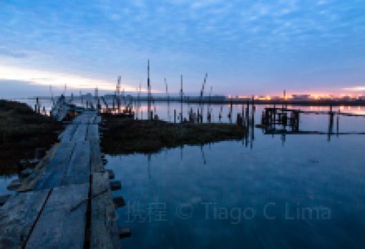 Cais Palafítico do Porto da Carrasqueira景点图片