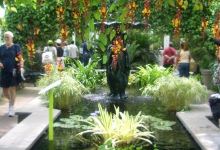 St. George Village Botanical Garden景点图片