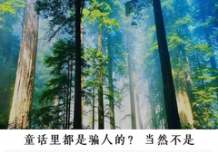 湖北游记图片] 武汉周边小众旅游目的地，森林木屋，现实版“童话镇”