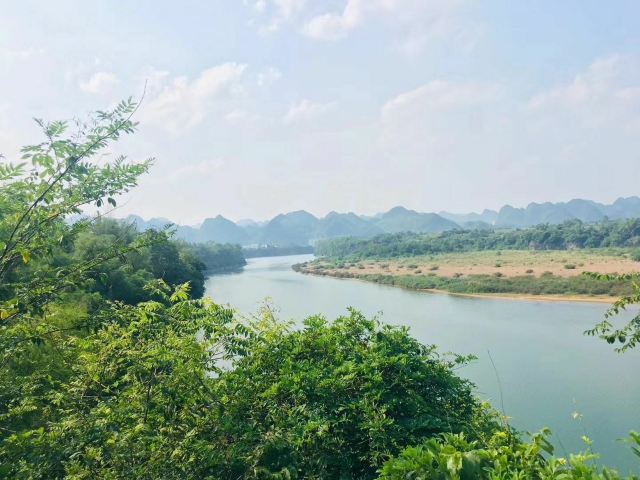 左江斜塔旅行图片 4