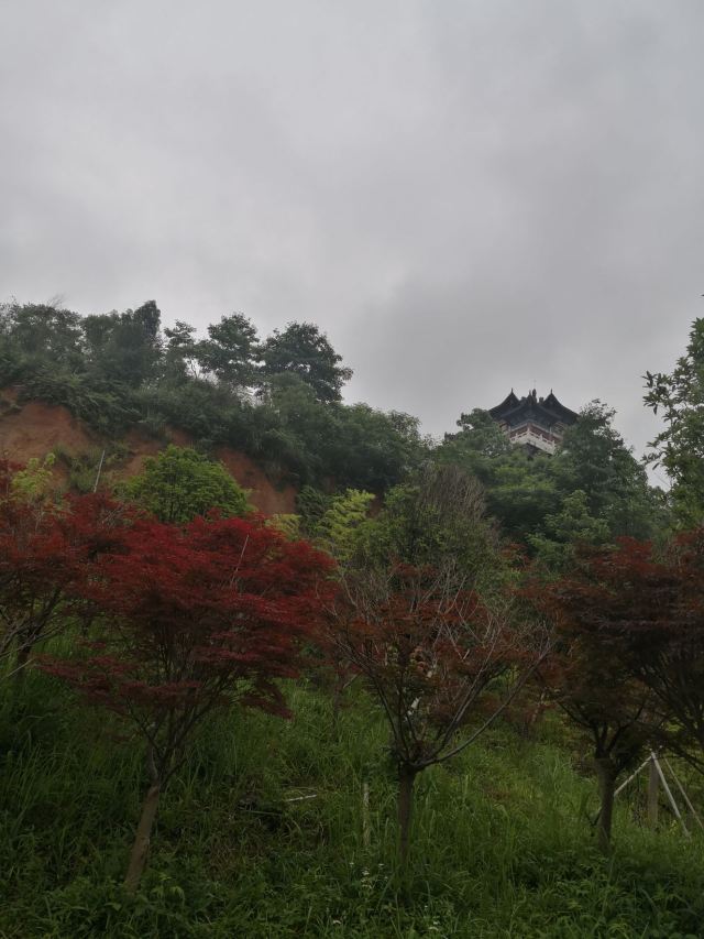 桂阳文化园旅行图片 9