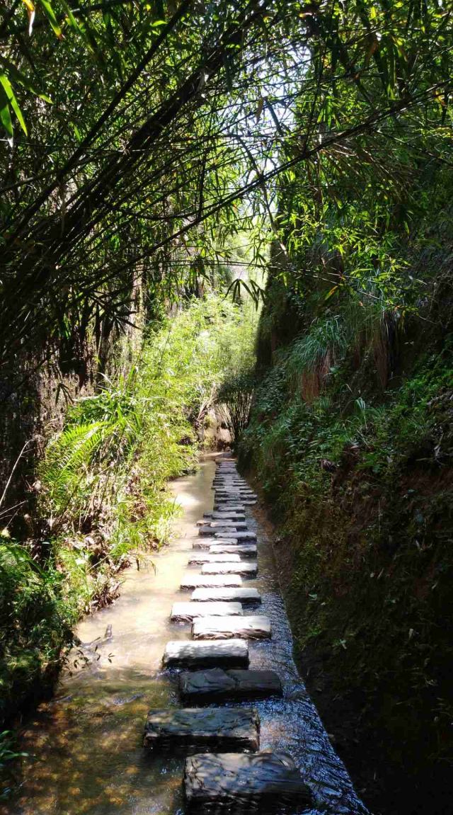 青龙岩风景区旅行图片 5