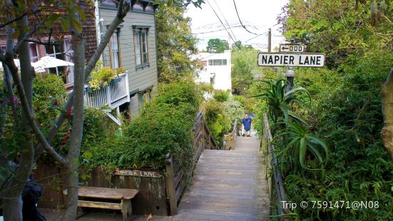 Napier Lane