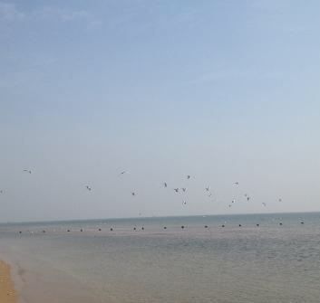 福来岛旅行图片 1