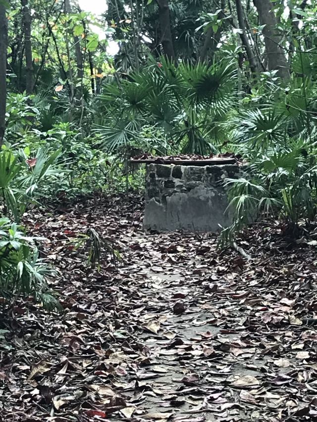 Museo Maya de Cancun