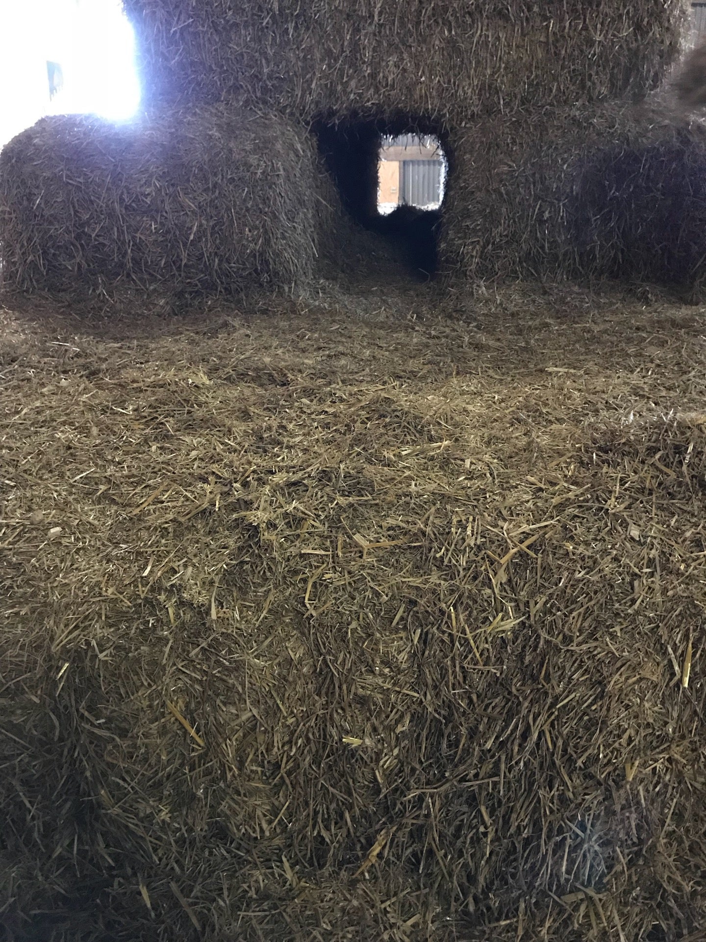 Esel Und Landspielhof Travel Guidebook Must Visit Attractions In