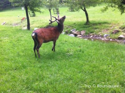 Top 5667 Attractions Recommended In Lippstadt Recommended Travel