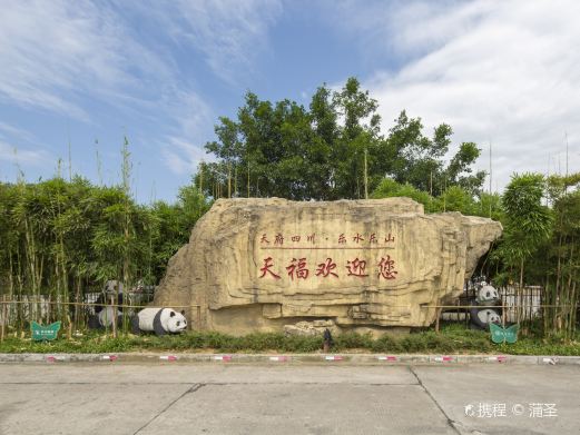 天福观光茶园
