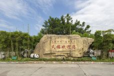 天福茶园-夹江-切切切尔西